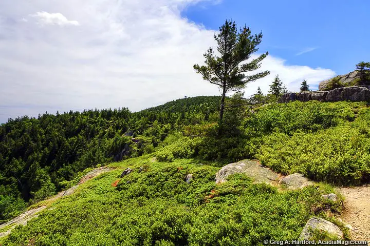 Observation Fire Tower on Beech Mountain