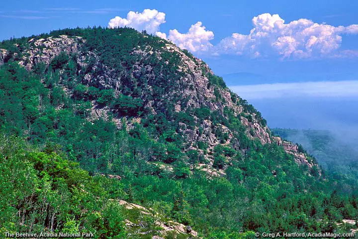 The Beehive seen from Gorham Mountain Trail in Acadia