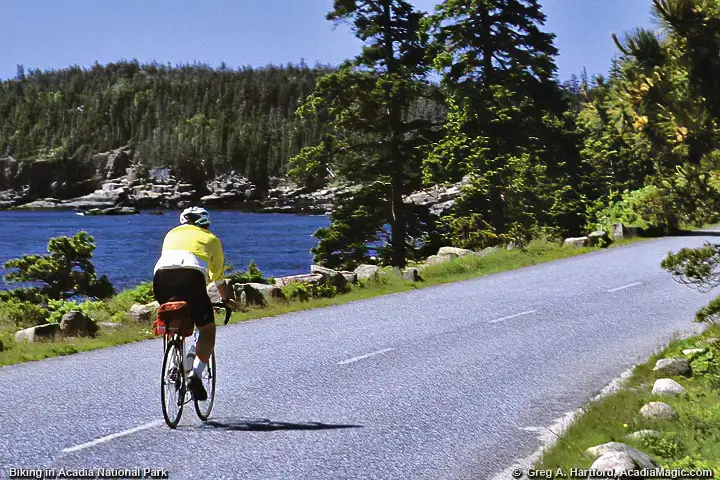 Biking on the Park Loop Road