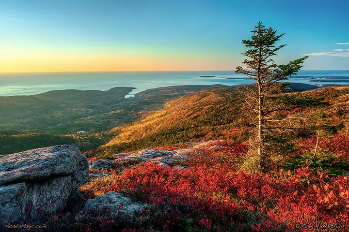 Autumn colors on Cadillac Mountain and view of Otter Cove