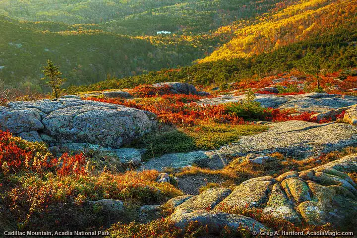 Beautiful autumn colors on Cadillac Mountain
