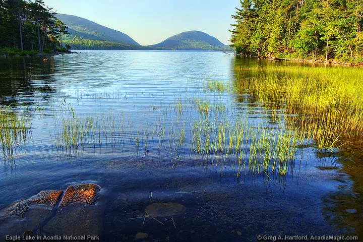Shore of Eagle Lake in Acadia National Park