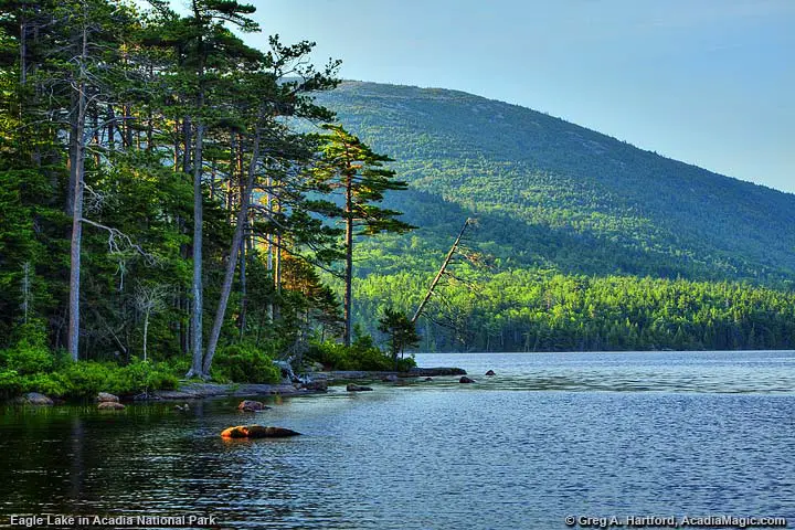 Summer on Eagle Lake on northern side in Bar Harbor