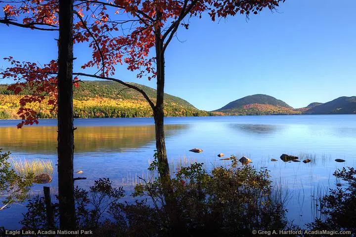 Autumn at Eagle Lake in Acadia National Park