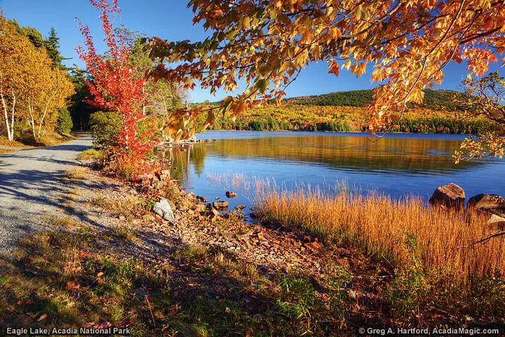 Carriage Road at Eagle Lake in Acadia National Park