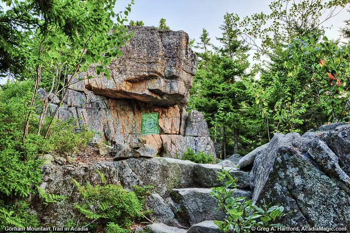 Approaching plaque on Gorham Mountain Trail