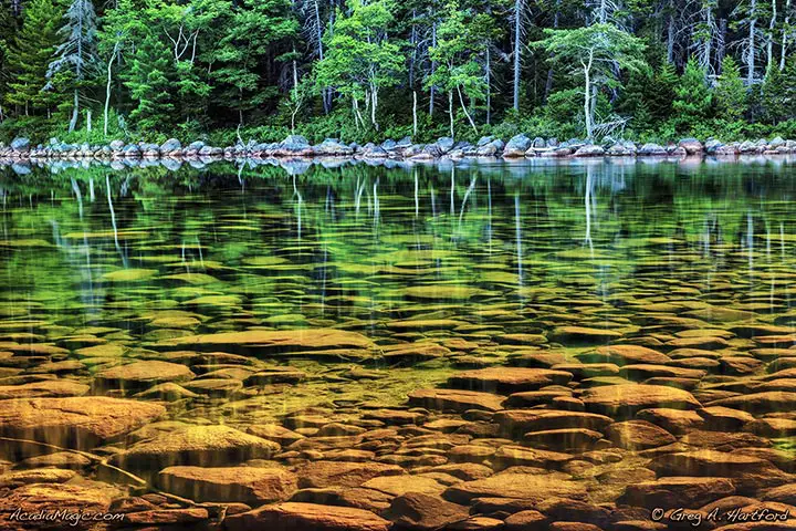 The clear water at Jordan Pond in Acadia
