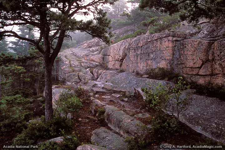 Pink Granite on Great Head Trail