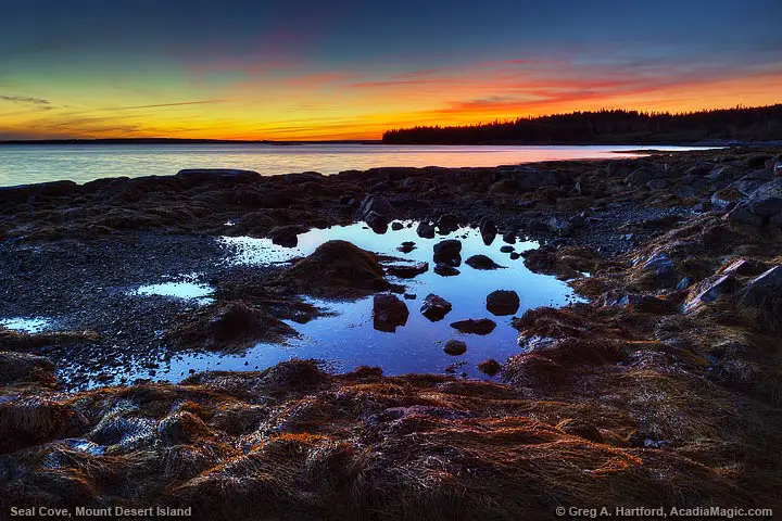 Twilight reflection in tidal pool at Seal Cove