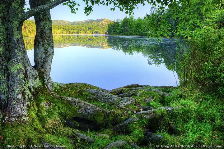 Long Pond in Seal Harbor, Maine