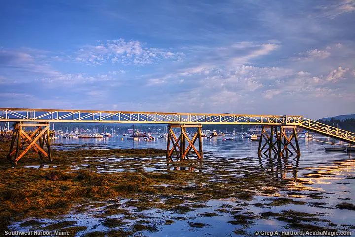 Large Pier at Low Tide