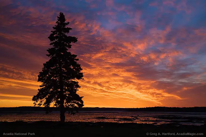 Sunrise in Acadia National Park