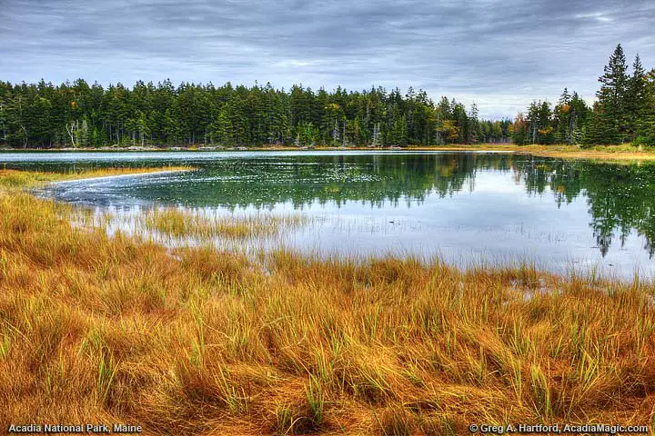 Autumn season on Thompson Island in Trenton, Maine