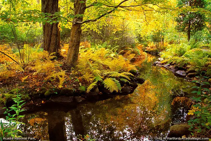 Acadia Nature Center at Sieur de Monts Spring