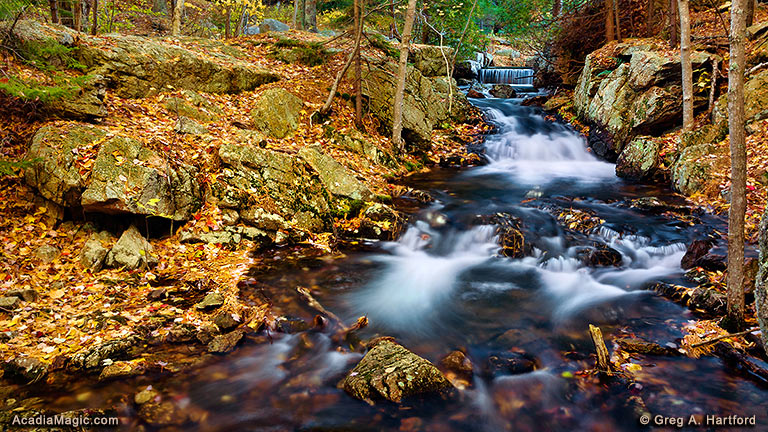 Bubble Brook in Acadia National Park