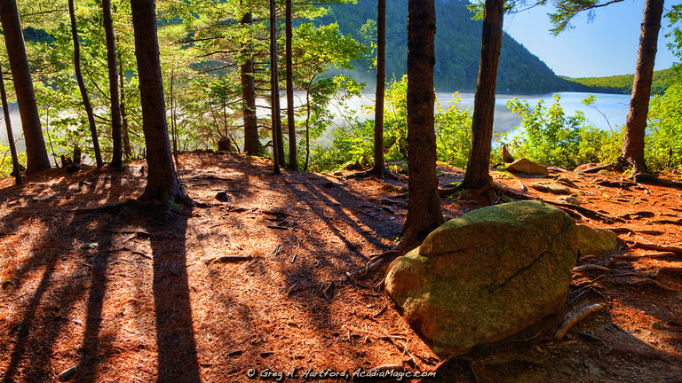 View through the trees as you approach Bubble Pond