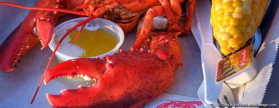 Cooked Maine Lobster in Bar Harbor and Acadia