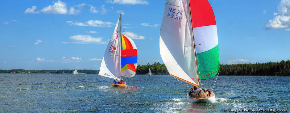 Land and sea tours in Acadia National Park and Bar Harbor