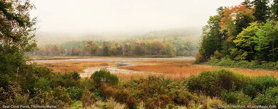 Seal Cove Pond on Mount Desert Island, Maine