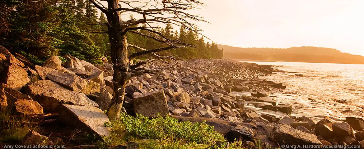 Arey Cove in Acadia National Park at Schoodic Point