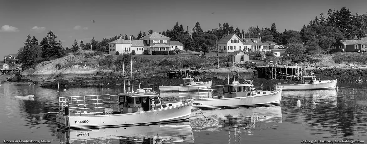 Black and White harbor scene showing Corea, Maine lobster boats