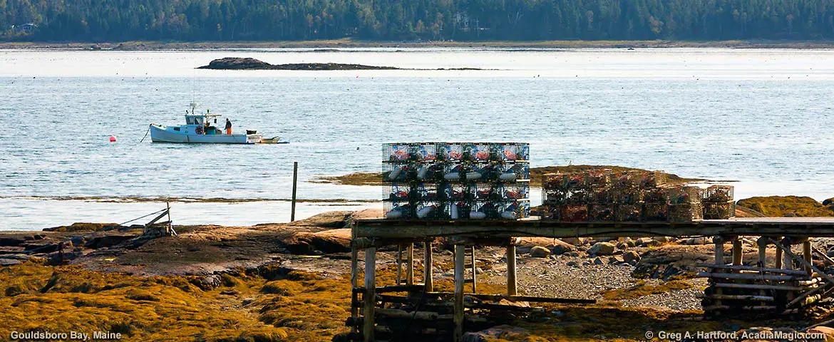 Gouldsboro Bay in Gouldsboro, Maine