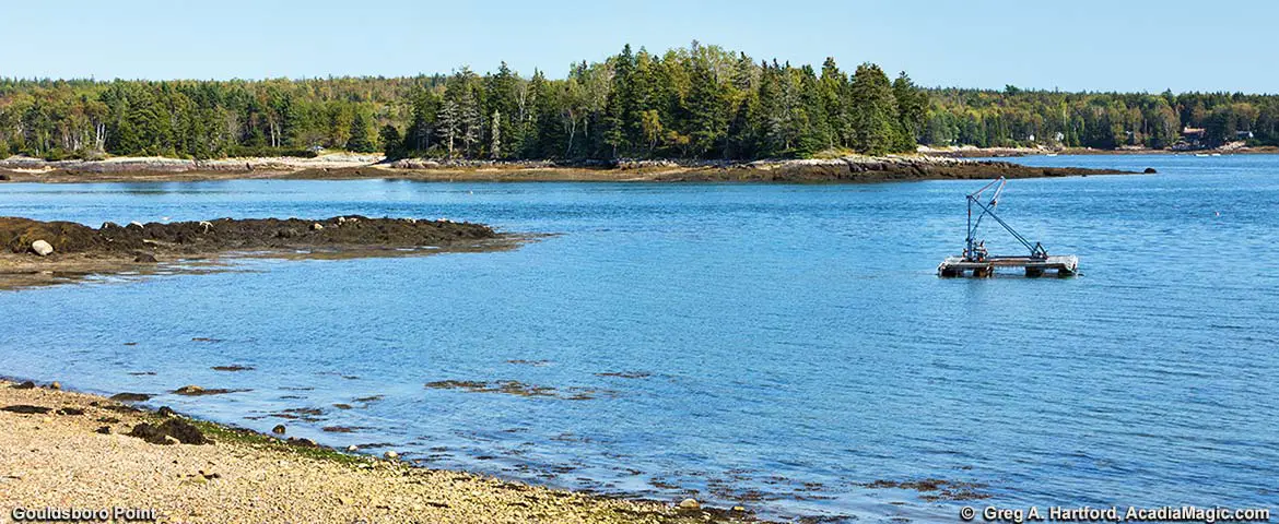 Gouldsboro Point in Gouldsboro, Maine