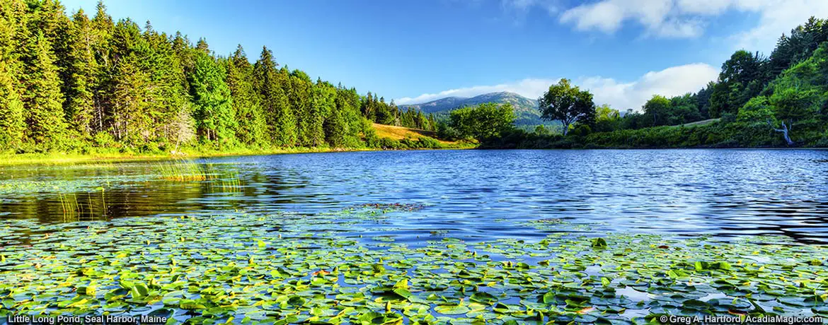 Little Long Pond in Seal Harbor, Maine