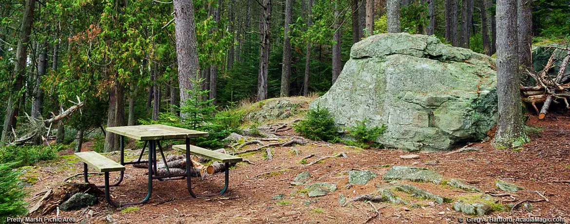 Acadia National Park Picnic Area at Pretty Marsh