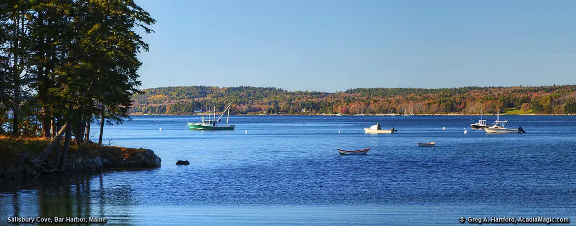 North view from Salisbury Cove