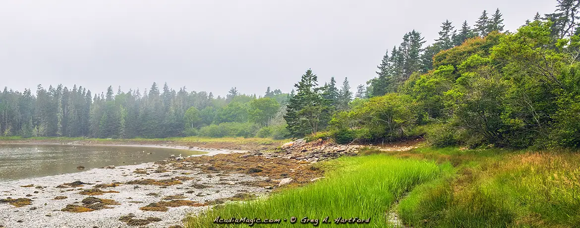 Ship Harbor Nature Trail