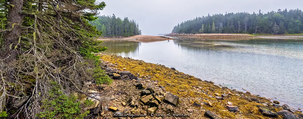 Ship Harbor Nature Trail