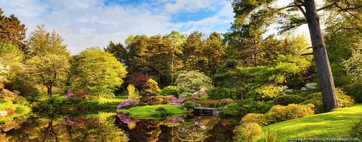 Japanese Style Garden