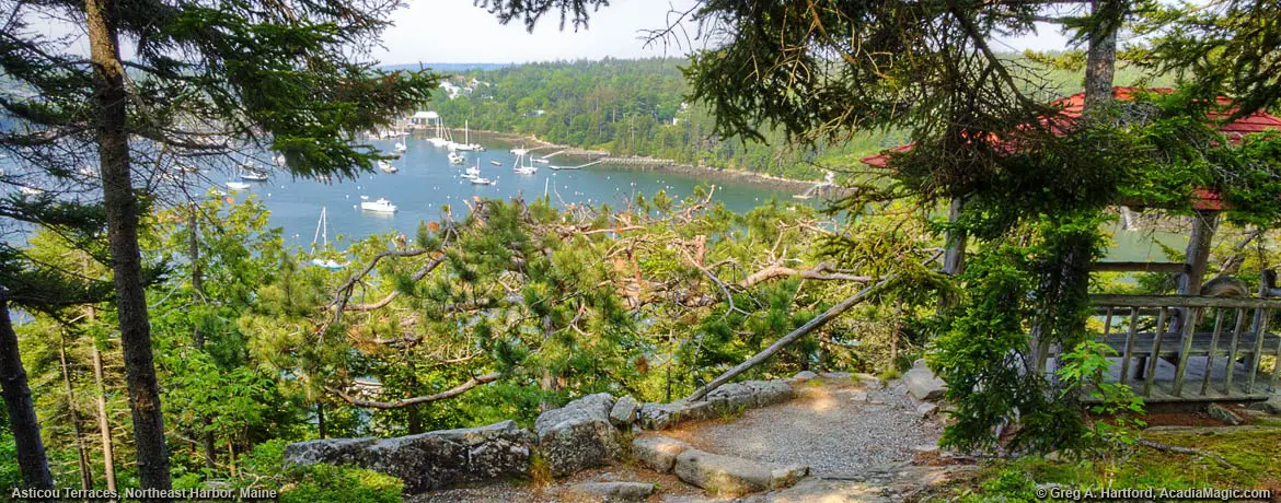 View of Northeast Harbor from Asticou Terraces