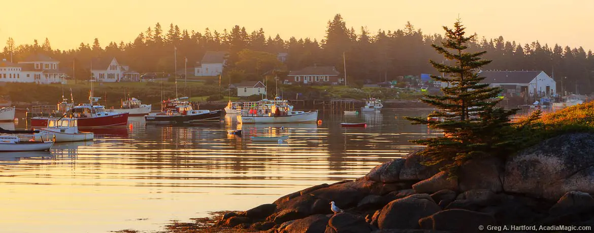 Lobster boats in Corea, Maine