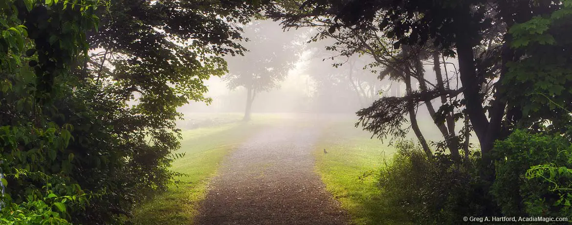 Misty morning in Seal Harbor