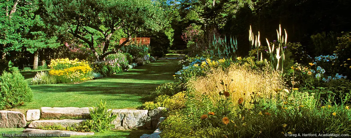 View of Thuya Garden flowers