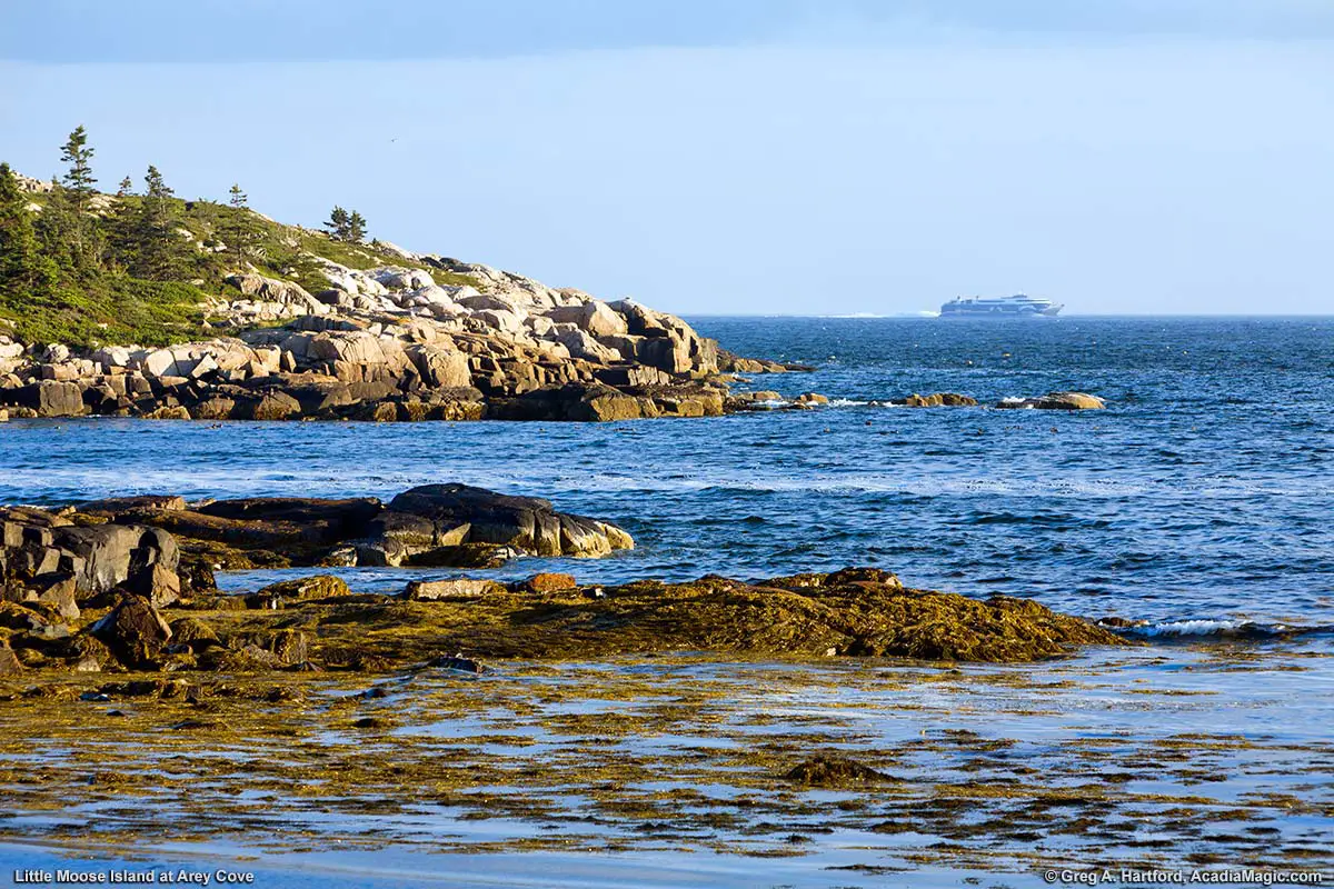 Arey Cove with Little Moose Island