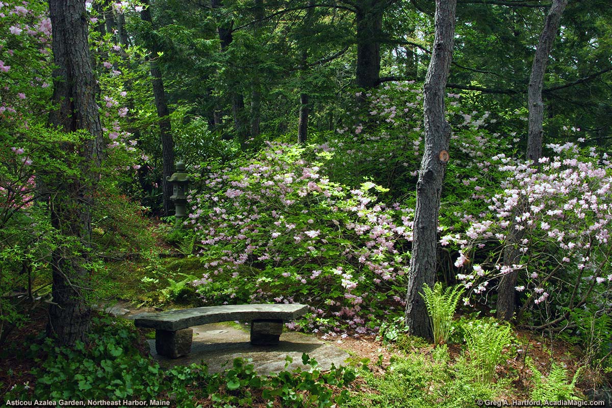 Stone sitting bench in garden
