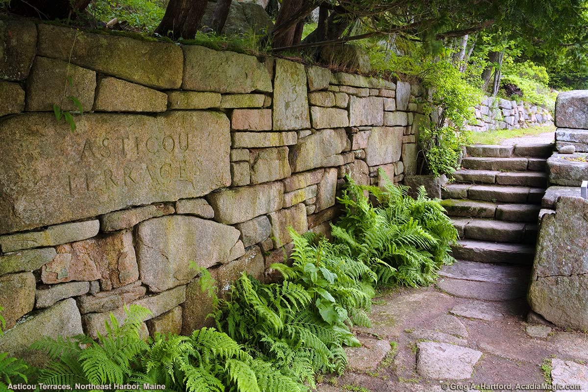 Asticou Terraces Steps leading to Thuya Garden