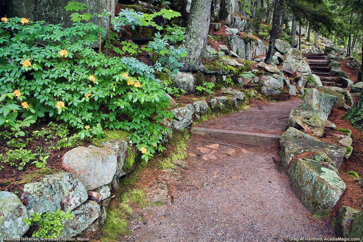 Sloped walking path in Asticou Terraces