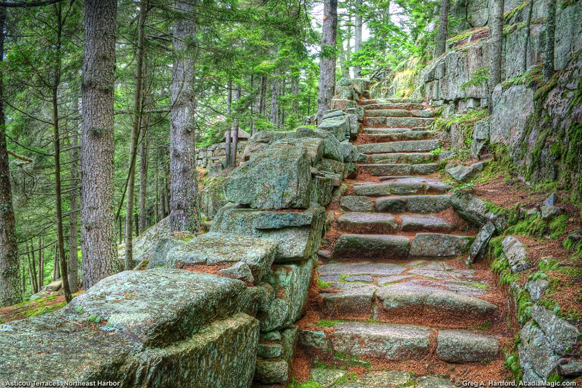 Granite steps leading upward at Asticou Terraces