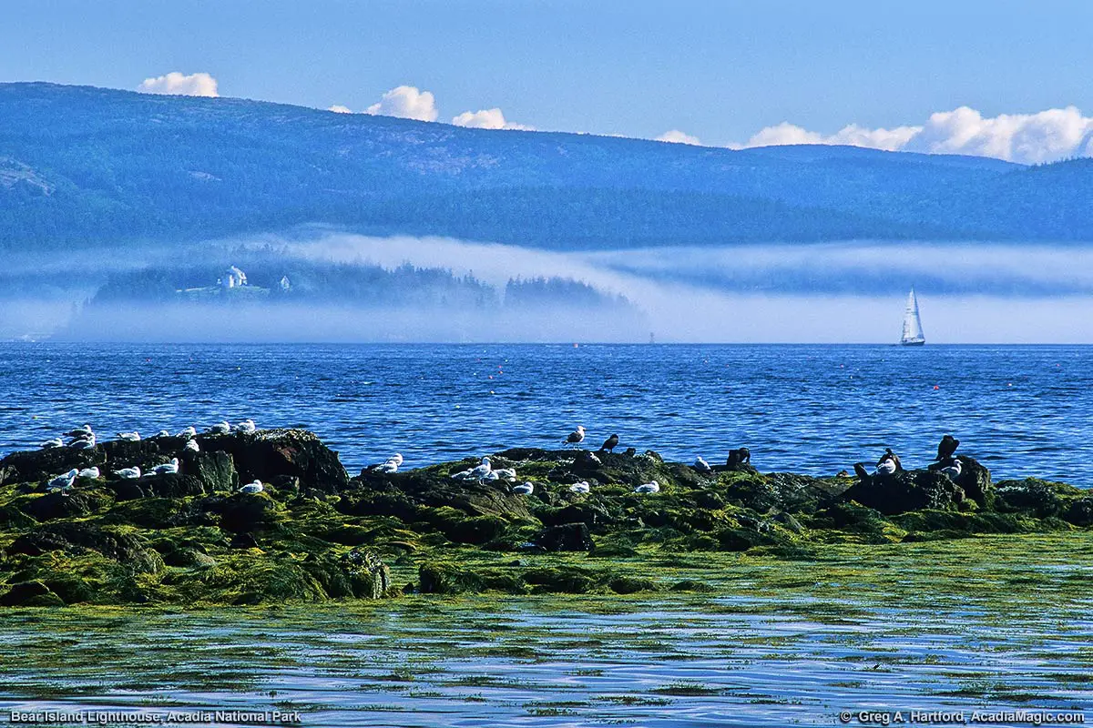 Manset in Southwest Harbor has spectacular views of Bear Island Lighthouse and Acadia National Park.