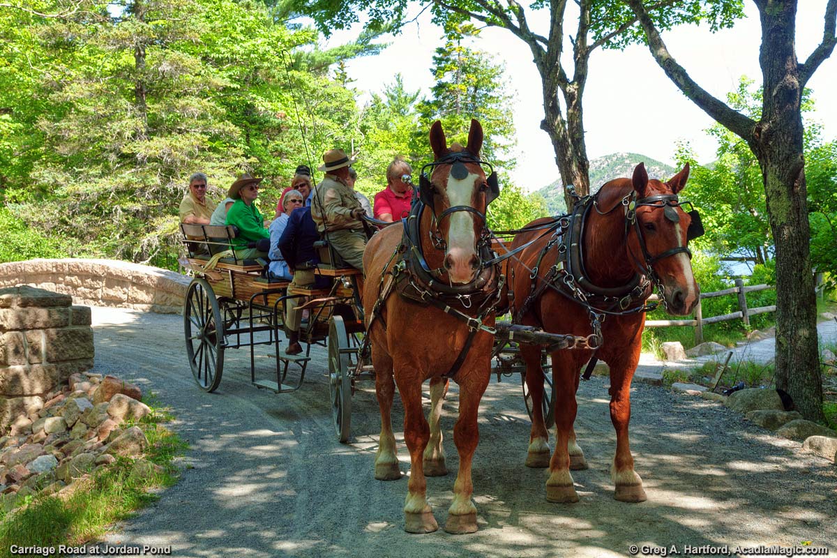 Horses and Carriage at the small bridge at Jordan Pond