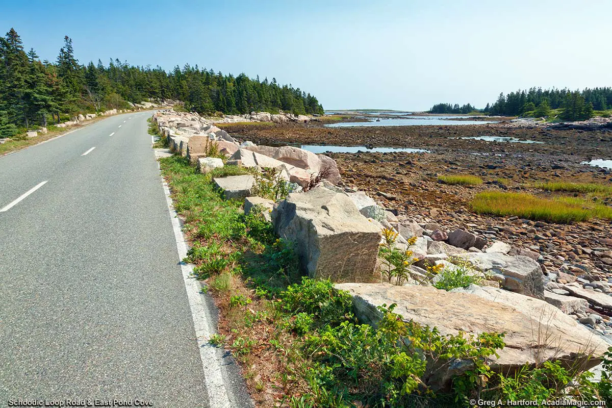 East Pond Cove next to Schoodic Loop Road