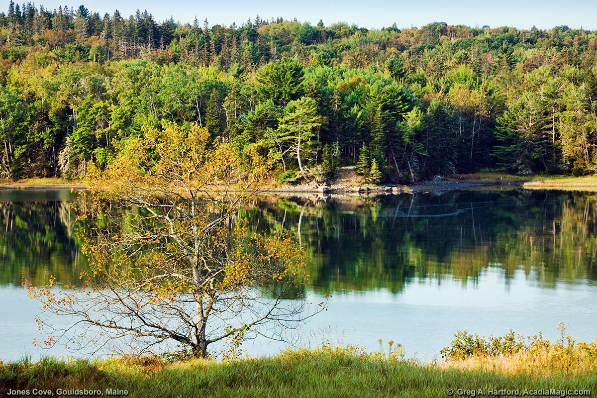 Jones Cove Inlet in Gouldsboro, Maine