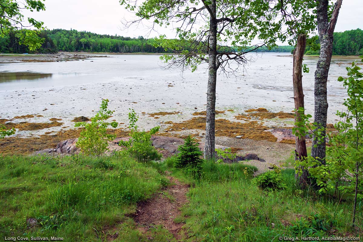 Long Cove in Sullivan, Maine