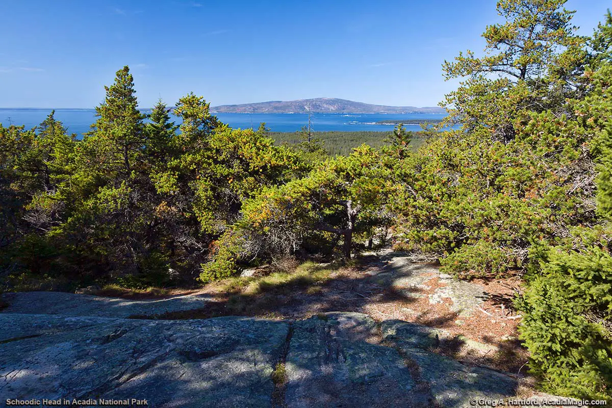 Schoodic Head Summit View of Mount Desert Island