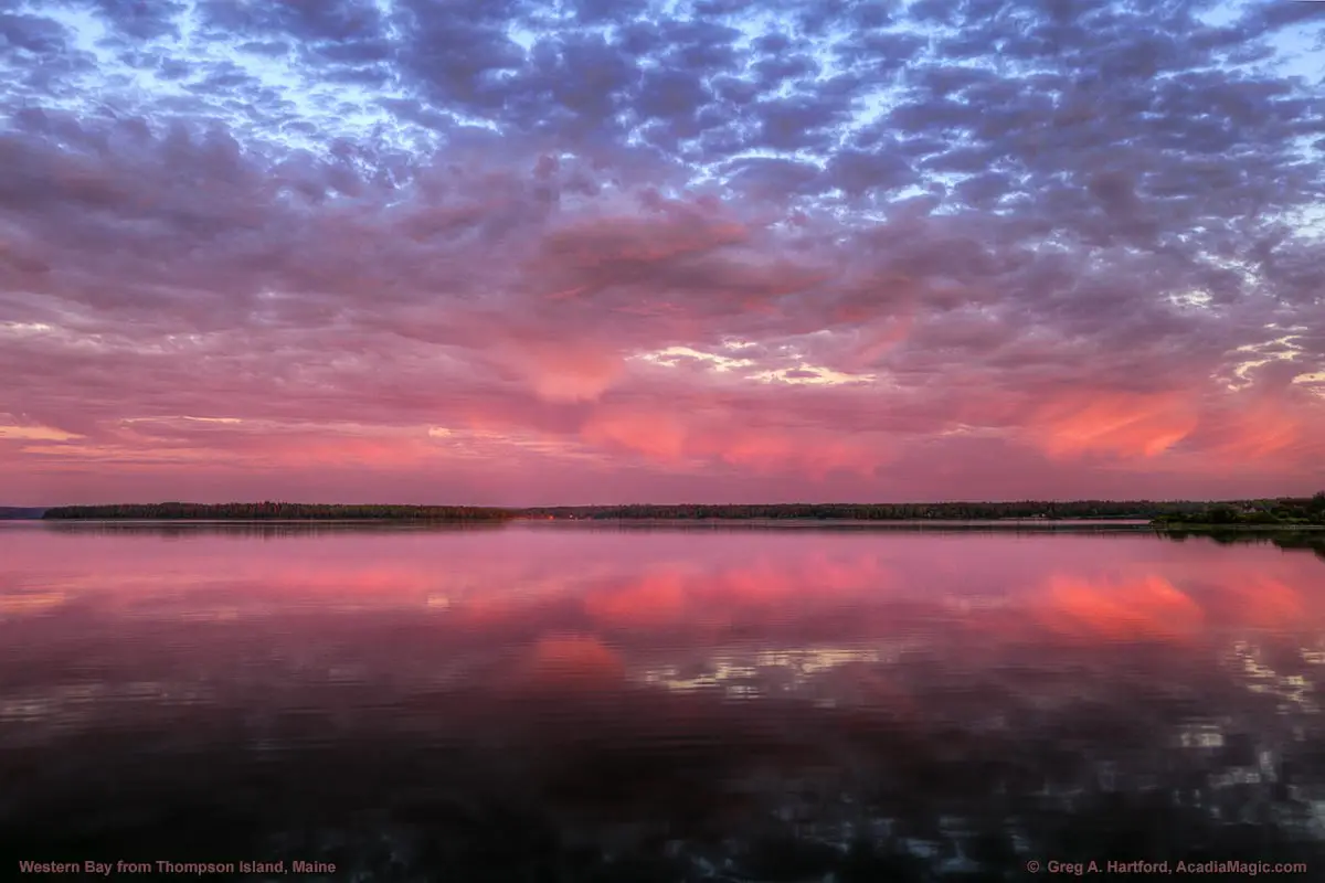 View of Western Bay during sunrise