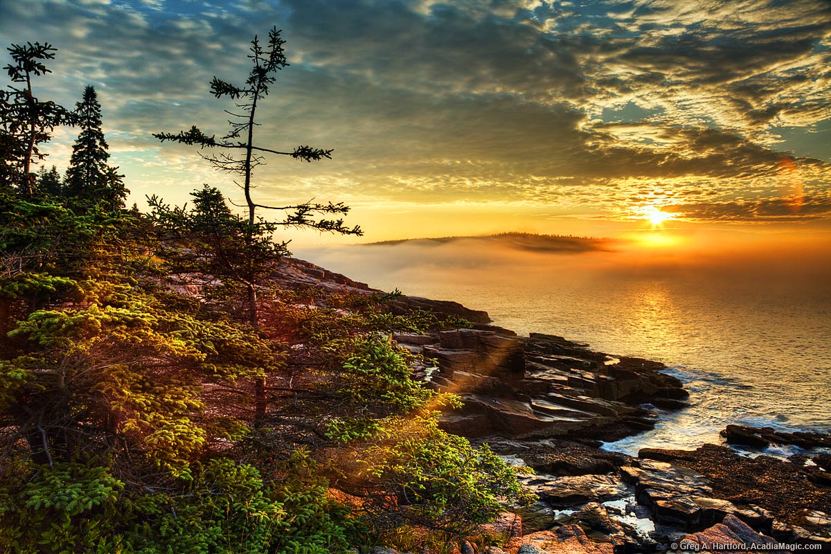 Sunrise in Acadia National Park